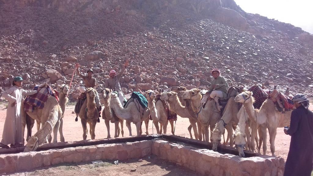 Wadi Rum Wanderlust Camp Экстерьер фото